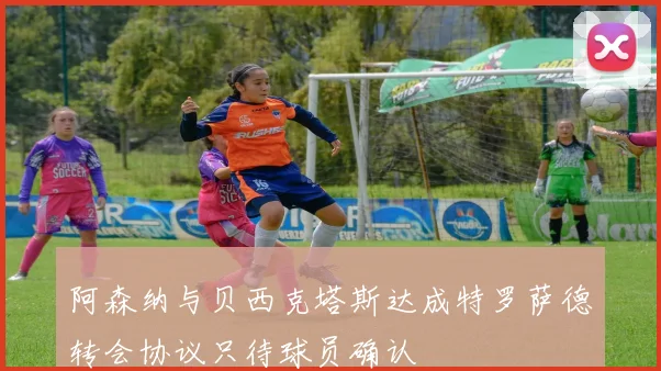阿森纳与贝西克塔斯达成特罗萨德转会协议只待球员确认