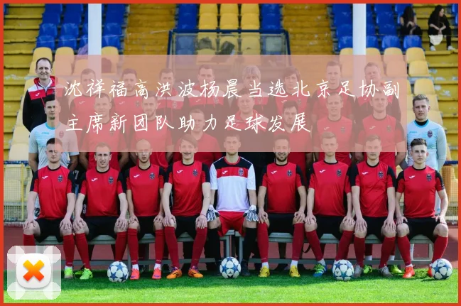 沈祥福高洪波杨晨当选北京足协副主席新团队助力足球发展